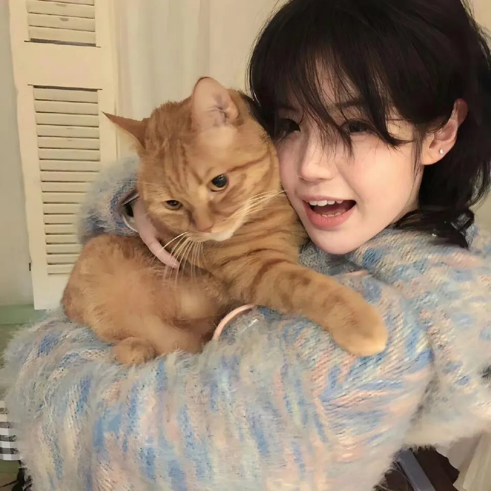 雨色可可第三季